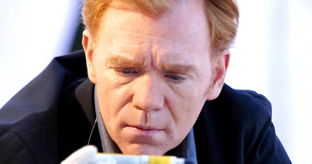 La carrera de David Caruso