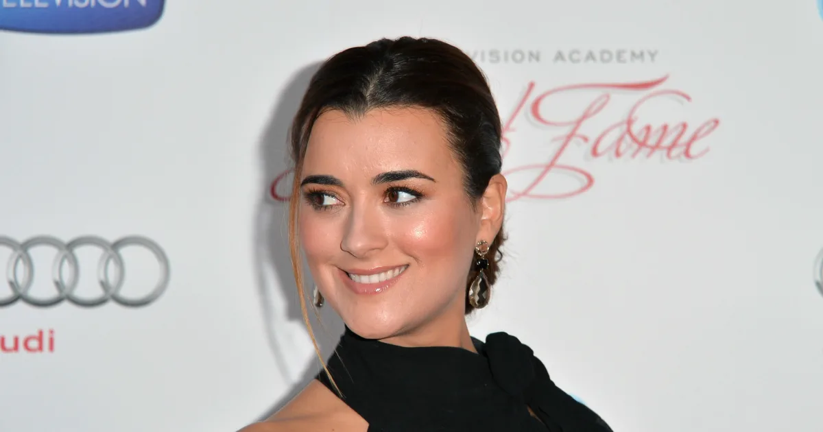 'NCIS' Season 17: Will \