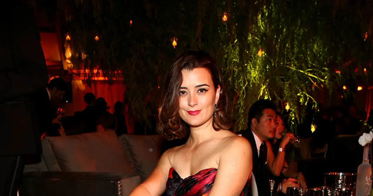 'NCIS' SpinOff With "Ziva"? Why Cote de Pablo Could Be Returning