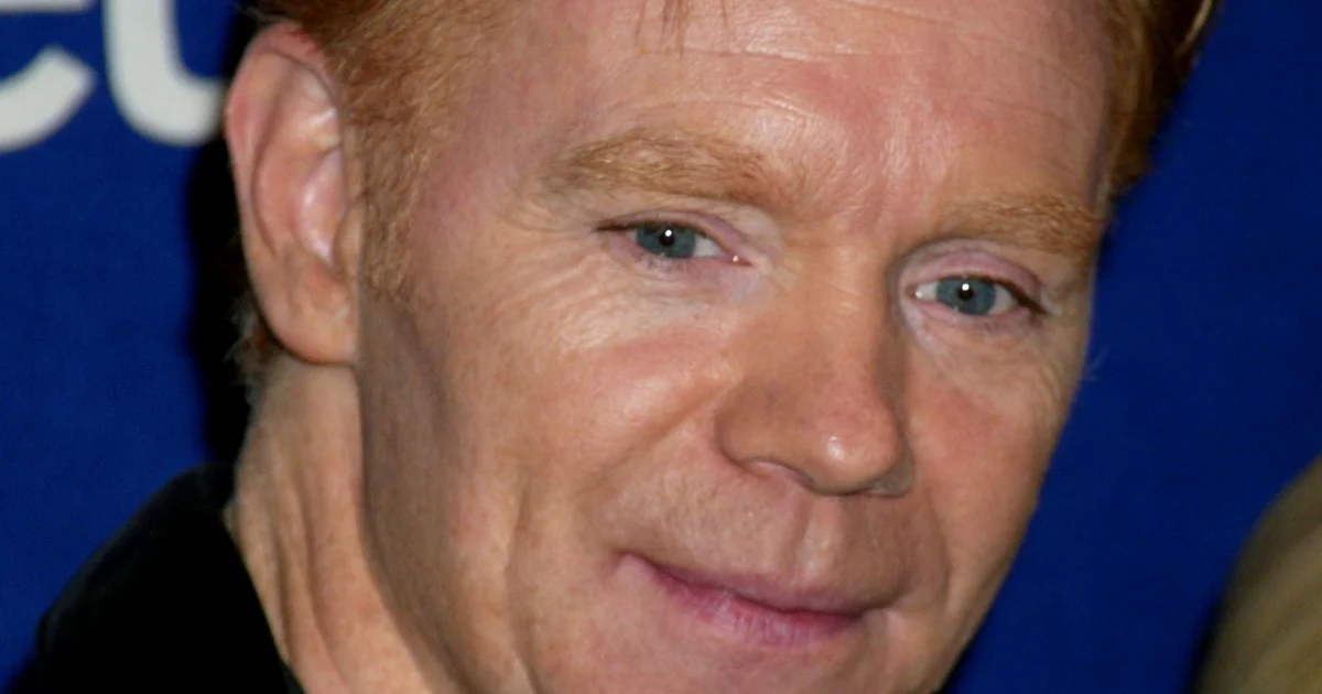 David Caruso 2020