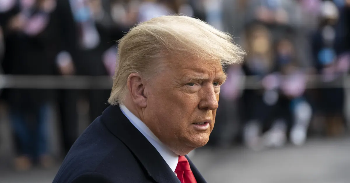 US Election 2024 Decided Donald Trump President