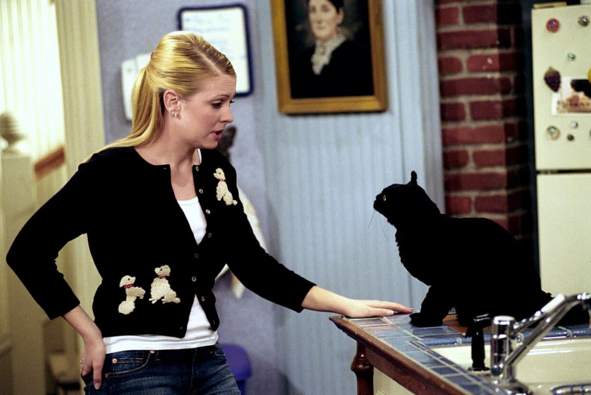 Sabrina The Teenage Witch: Meet The Voice Behind "Salem" The Cat