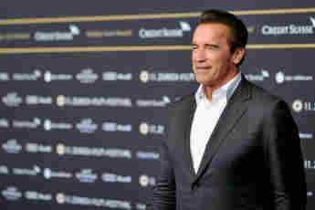 Arnold Schwarzenegger's Pet Horse & Donkey Crash His Interview With Jimmy Kimmel - Watch Here