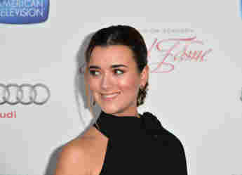 Cote de Pablo did not care if people liked Ziva