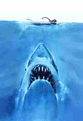 Tiburón, película de Steven Spielberg de 1975