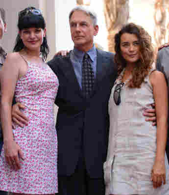 NCIS: After Mark Harmon's Exit, Is Pauley Perrette Returning? season 19 Gibbs leaving Abby comeback cast
