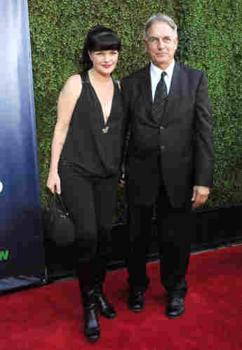 NCIS Pauley Perrette & Mark Harmon Relationship Feud Timeline Twitter allegations assault dog attack