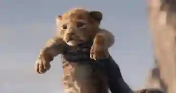 "Simba" in the 2019 remake of The Lion King.