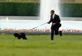 Barack Obama Confirms Pet Dog Bo Has Died Age 12 Portuguese Water Dog presidential pet 2021 biden trump