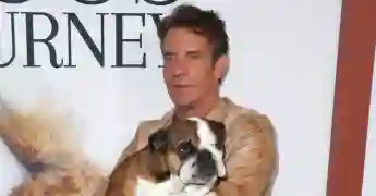 Dennis Quaid