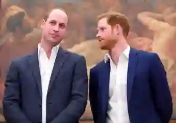 Prince Harry Wanted Archie To Be Friends With The Cambridge Kids Prince William children George Charlotte Louis royal family news 2021 relationship