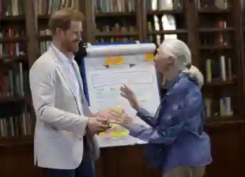 Jane Goodall Says She's Not "Best Friends" With Meghan & Prince Harry, Despite Reports