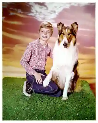 Jon Provost and "Lassie" in the 1954 series