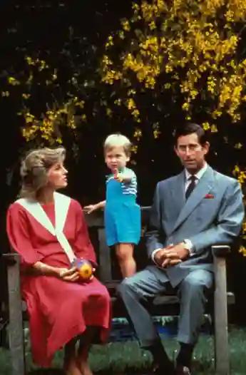 Lady Diana, Prinz William y Prinz Charles