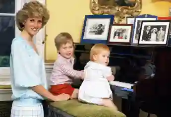 Children's picture Lady Diana, Prince William and Prince Harry