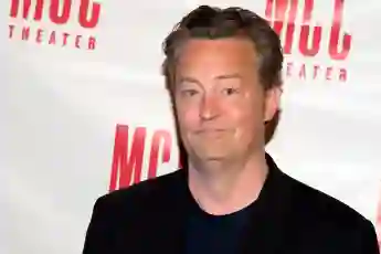 Matthew Perry Engaged To Girlfriend Molly Hurwitz