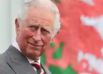 Prince Charles Questioned On New Prince Harry Interview podcast pain suffering royal family 2021