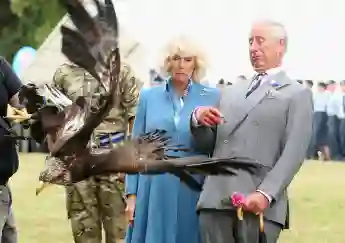 Prinz Charles und Camilla erschrecken vor dem Adler