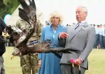 Les Prinz Charles et Camilla s'effondrent devant l'enfant