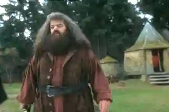 Robbie Coltrane