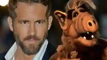 "Alf" comeback? Ryan Reynolds brings back the funny alien