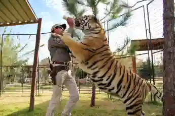 'Tiger King': A New 'Investigating Joe Exotic' Sequel Special Is Coming Soon