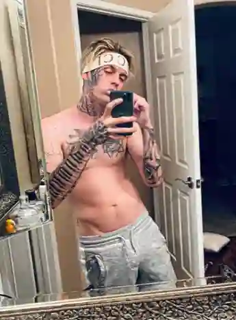 Aaron Carter and Girlfriend Announce Pregnancy Weeks After Domestic Violence Arrest.