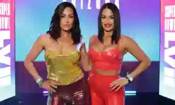 The Bella Twins