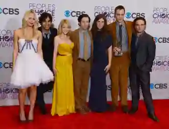 'The Big Bang Theory' Cast