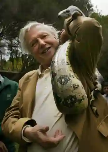 David Attenborough