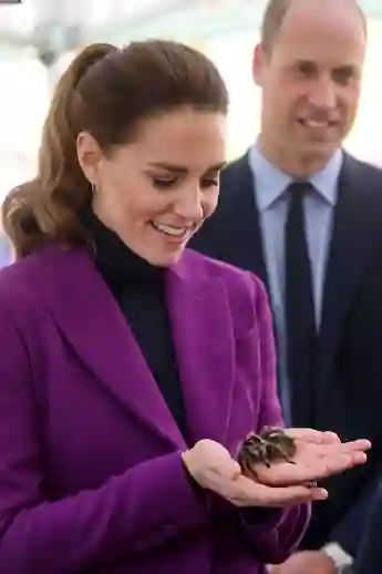 Duchess Kate with spider giant Tarantula pictures photos Prince William snake Ireland farm visit 2021 royal family news