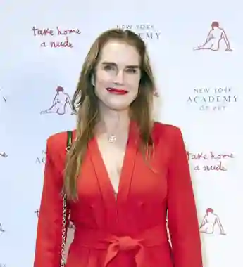 October 16, 2023, New York, New York, USA: Brooke Shields attends The New York Academy of Art, Honoring Salman Toor at T