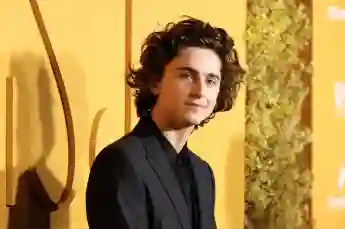 Timothee Chalamet arrives on the red carpet at WSJ Magazine 2023 Innovator Awards on Wednesday, November 01, 2023 in New