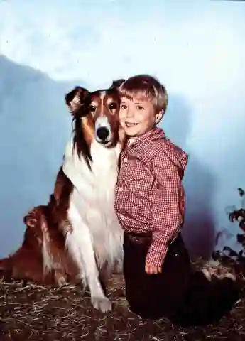 Jon Provost para "Lassie" 1963
