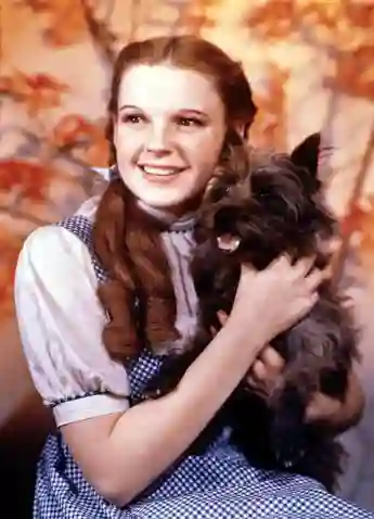 Judy Garland  in the Wizard of Oz