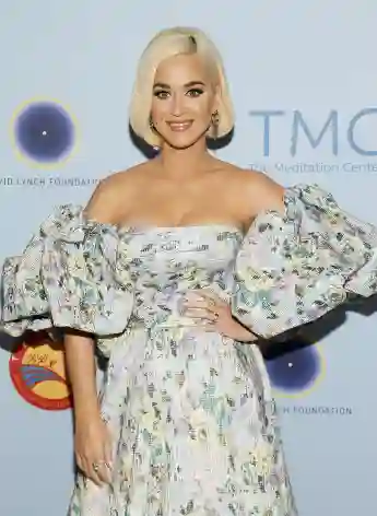 Katy Perry was sued for $150,000 for posting a picture dressed as Hilary Clinton