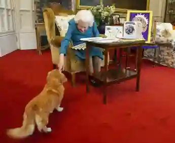 Queen Elizabeth II with her dog Candy on February 4, 2022