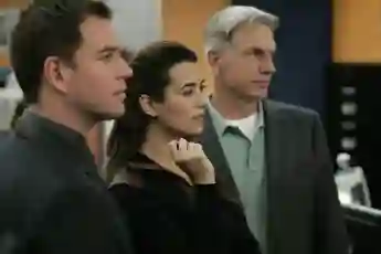 Michael Weatherly, Cote de Pablo, and Mark Harmon in 'NCIS'