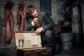 Eddie Redmayne in "Fantastic Beasts: Grindelwald's Crime" from 2018