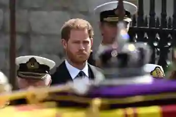 Prince Harry