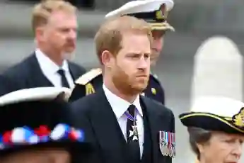 prince harry puppet?