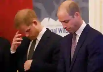 Prince Harry and Prince William 2018