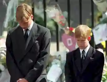 Prince William and Prince Harry at the funeral of their mother, Lady Diana