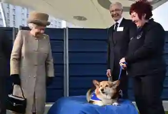 Royal Family Members' Pets