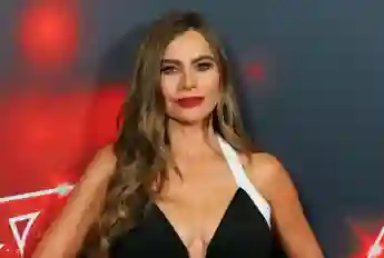 Sofia Vergara's Rise to Fame