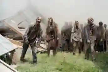 'The Walking Dead'