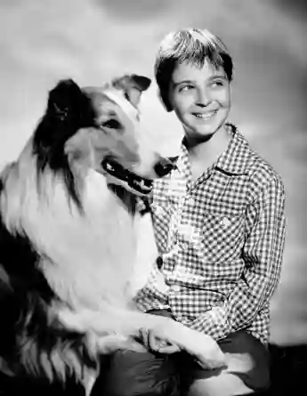 Tommy Rettig dans Lassie