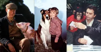 Los diez animales más populares de películas y series