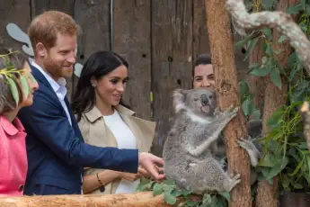 Prince Harry and Meghan Markle