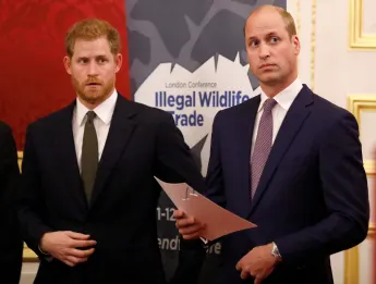 prince harry prince william relationship tension problems